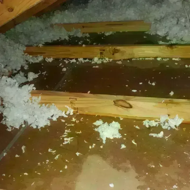 Best Attic Water Damage Service in Beachwood, NJ